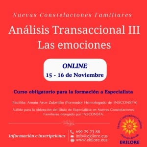 Formación Online. Las emociones
