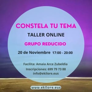 Taller Online